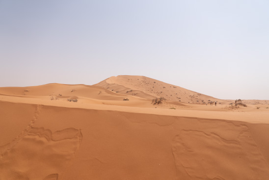 الكثبان الرملية